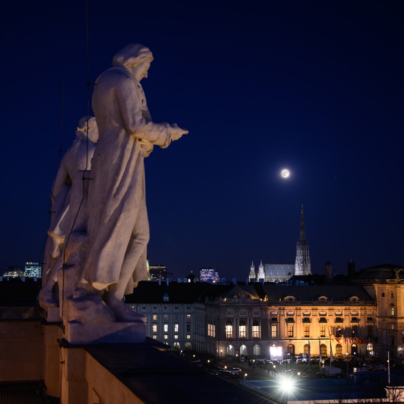 : © NHM Vienna, Christina Rittmannsperger